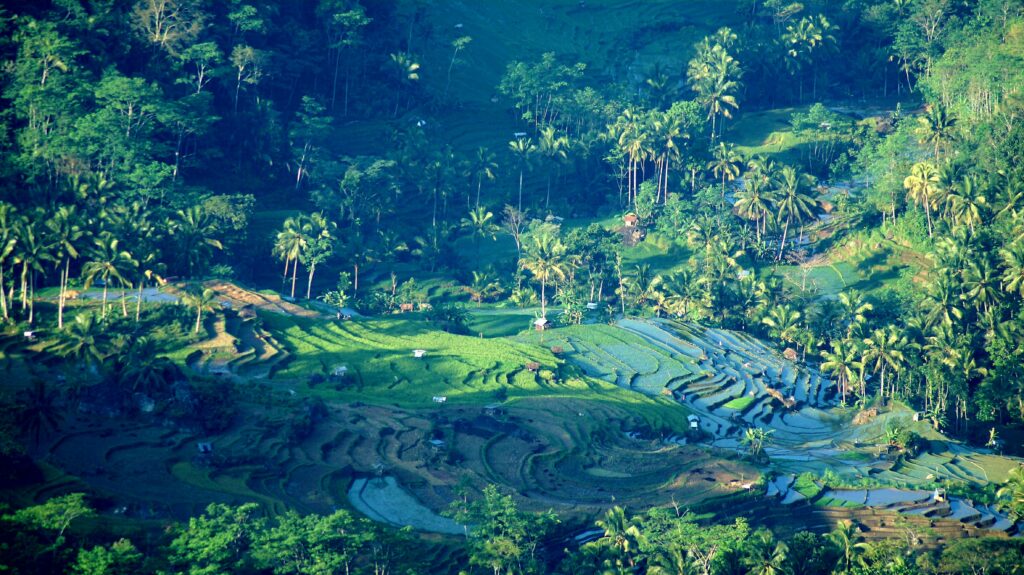 Everything you Need to Know Before Visiting Bali in 2026